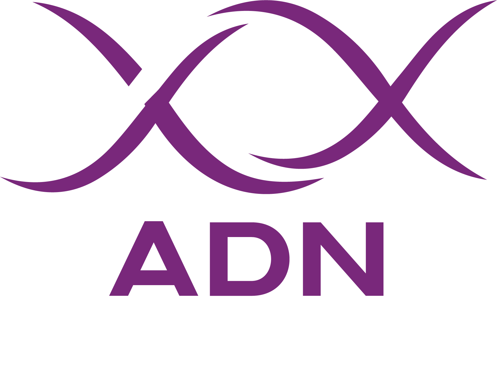ADN Marketing 
